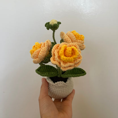Mini Crochet Rose Pots – Tiny blooms, endless charm