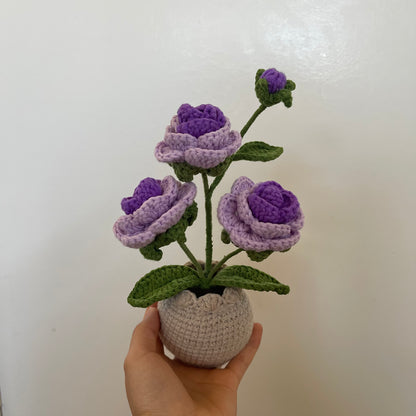 Mini Crochet Rose Pots – Tiny blooms, endless charm