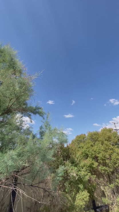 Handmade Crochet Rose – Classic vibe